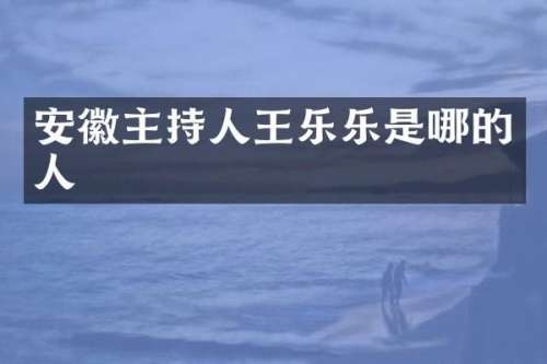 安徽主持人王乐乐是哪的人