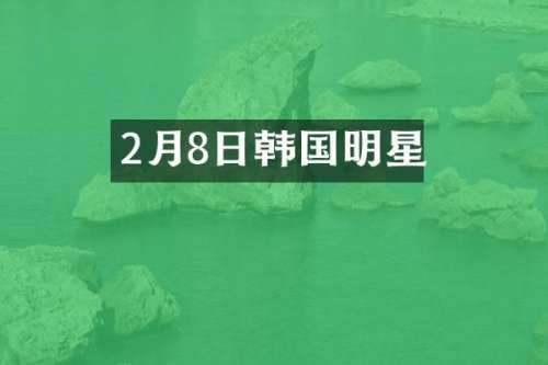2月8日韩国明星