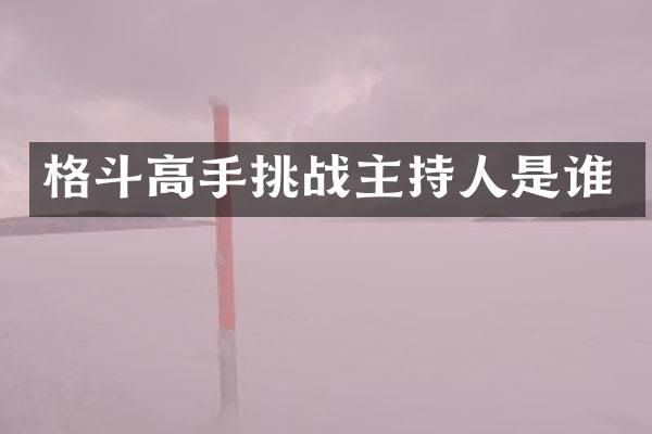 格斗高手挑战主持人是谁