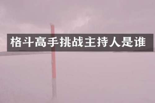 格斗高手挑战主持人是谁