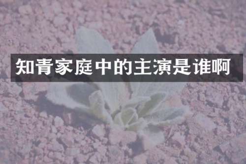 知青家庭中的主演是谁啊