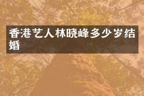 香港艺人林晓峰结婚