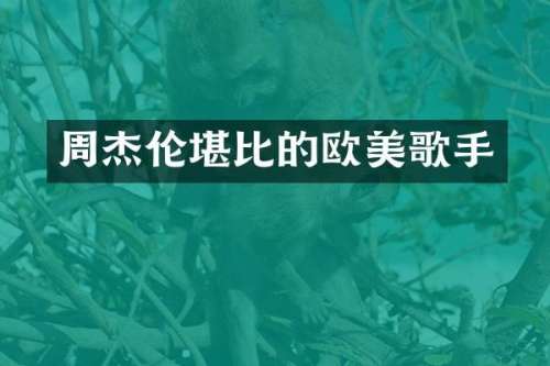 周杰伦堪比的欧美歌手