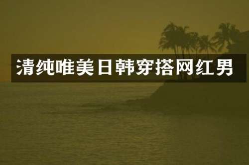 清纯唯美日韩穿搭网红男