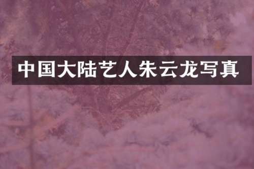 中国大陆艺人朱云龙写真