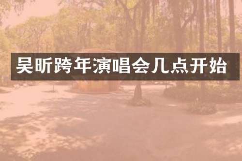 吴昕跨年演唱会几点开始