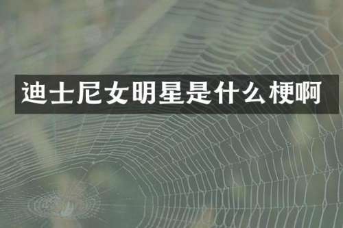 迪士尼女明星是什么梗啊