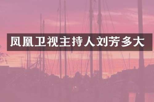 凤凰卫视主持人刘芳多大