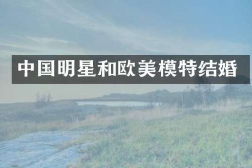 中国明星和欧美模特结婚