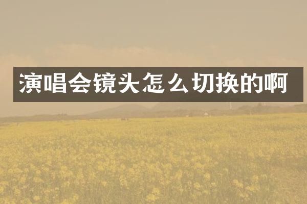 演唱会镜头怎么切换的啊