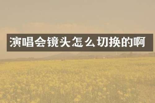 演唱会镜头怎么切换的啊