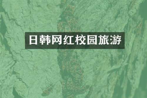 日韩网红校园旅游