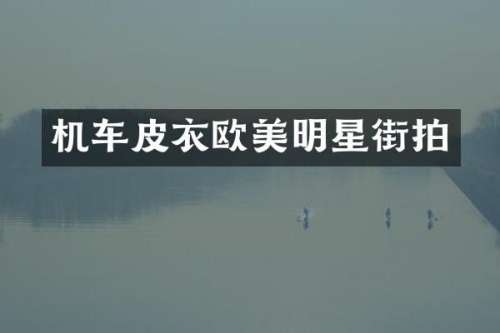 机车皮衣欧美明星街拍