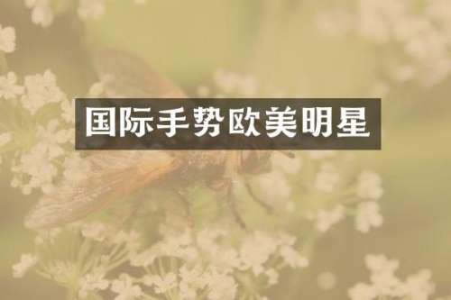 国际手势欧美明星