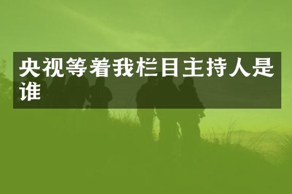 央视等着我栏目主持人是谁