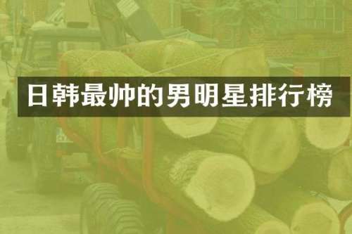 日韩最帅的男明星排行榜