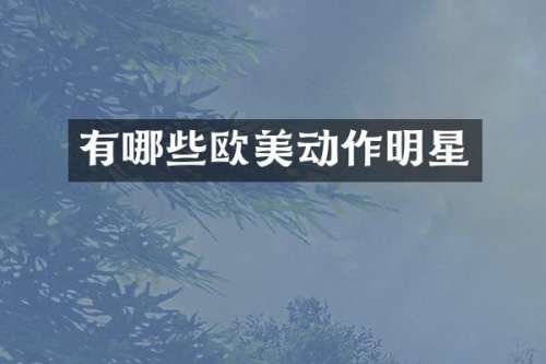 有哪些欧美动作明星