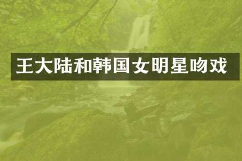王大陆和韩国女明星