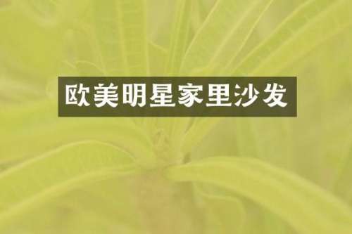欧美明星家里沙发