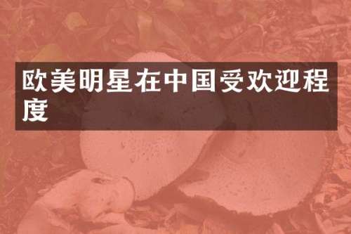 欧美明星在中国受欢迎程度