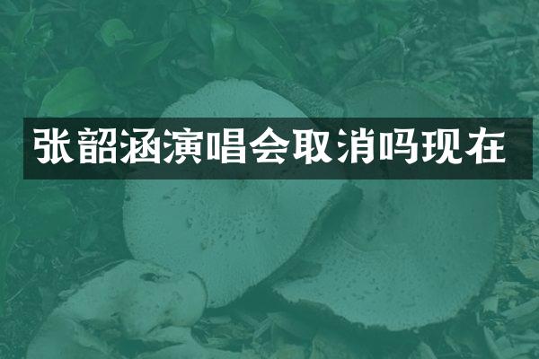 张韶涵演唱会取消吗现在