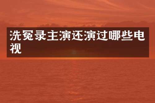 洗冤录主演还演过哪些电视