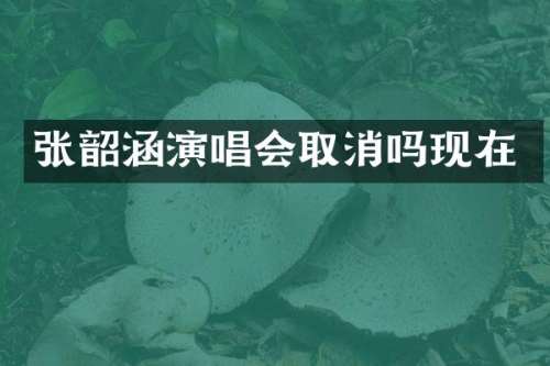 张韶涵演唱会取消吗现在