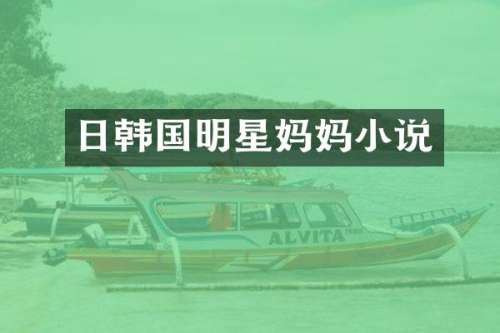 日韩国明星妈妈小说