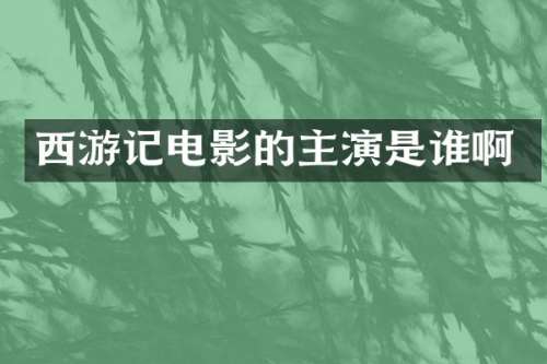 西游记电影的主演是谁啊