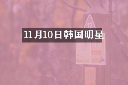 11月10日韩国明星