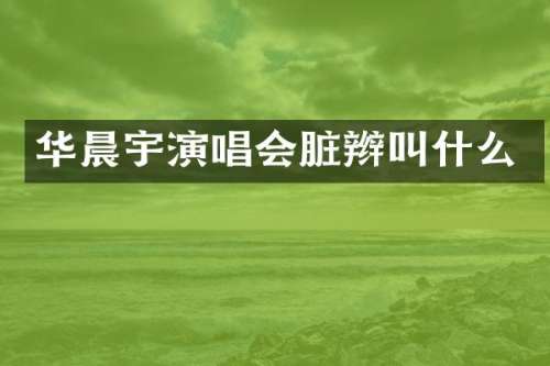 华晨宇演唱会脏辫叫什么