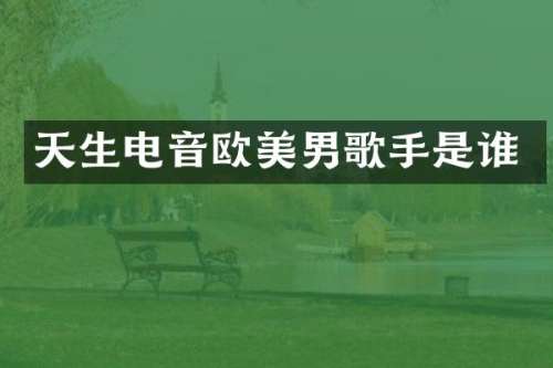 天生电音欧美男歌手是谁
