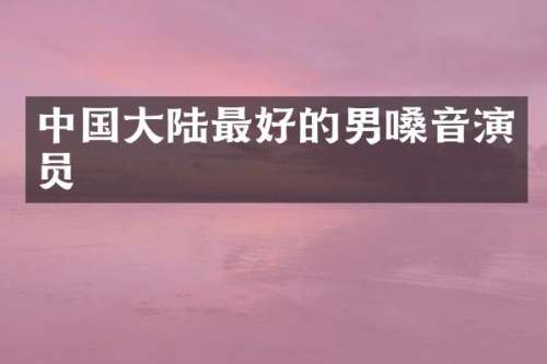 中国大陆最好的男嗓音演员