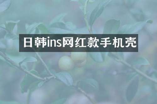 日韩ins网红款手机壳