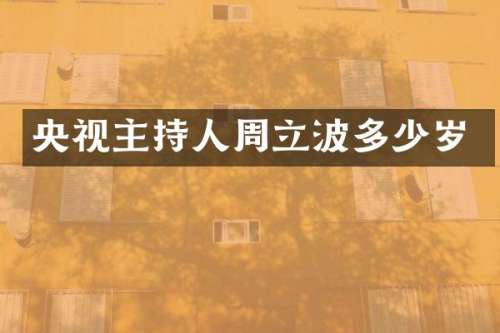 央视主持人周立波