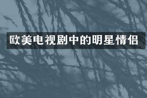 欧美电视剧中的明星情侣