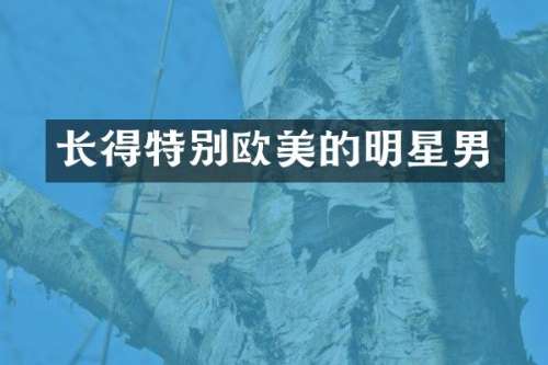 长得特别欧美的明星男