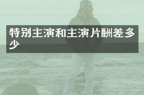 特别主演和主演片酬差多少