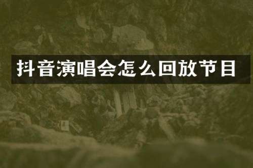抖音演唱会怎么回放节目