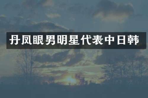 丹凤眼男明星代表中日韩
