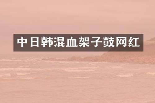 中日韩混血架子鼓网红
