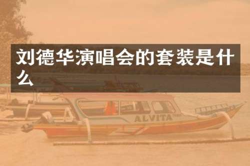 刘德华演唱会的套装是什么