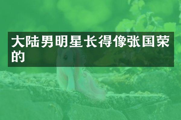 大陆男明星长得像张国荣的