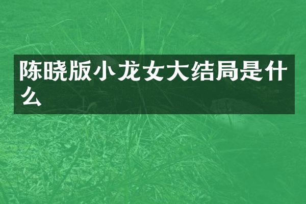 陈晓版大结局是什么
