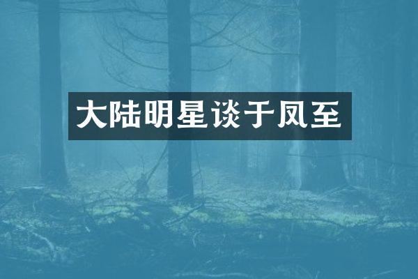 大陆明星谈于凤至
