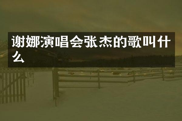 谢娜演唱会张杰的歌叫什么