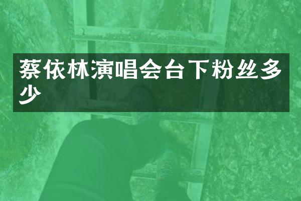 蔡依林演唱会台下粉丝多少