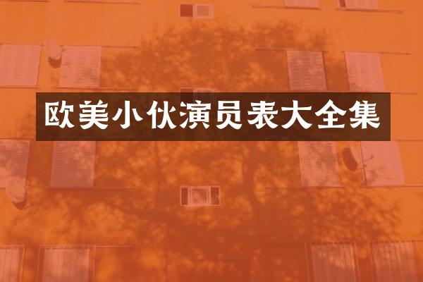 欧美小伙演员表大全集