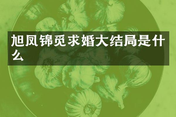 旭凤锦觅求婚大结局是什么