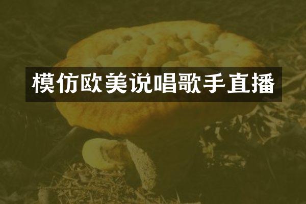 模仿欧美说唱歌手直播